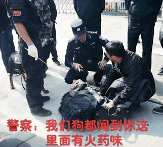 警犬的嗅觉有多灵敏?执行任务时,它直接闻出了对方的职业