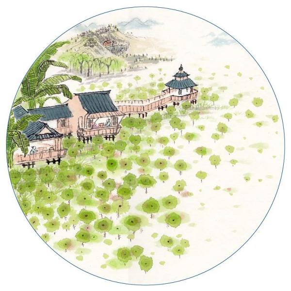 二十四节气｜小暑·可还记得幼时纳凉夜？