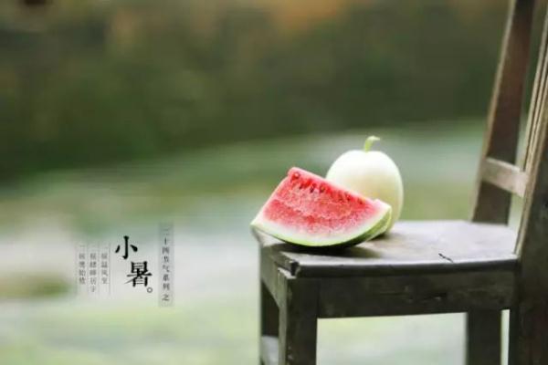 二十四节气｜小暑·可还记得幼时纳凉夜？