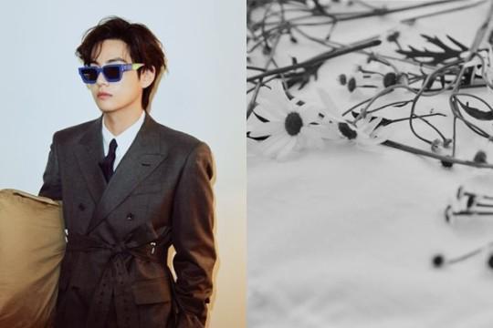 权志龙将sns头像换成竖中指的照片也引发了各种猜测,金泰亨的小号也换