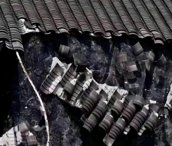 热闻｜高温“烤验”全国，杭州树热到冒烟，非洲狮被“热成狗”