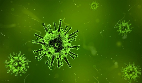 科学家首次发现“专吃病毒”的生物：改变人类看待病毒的方式