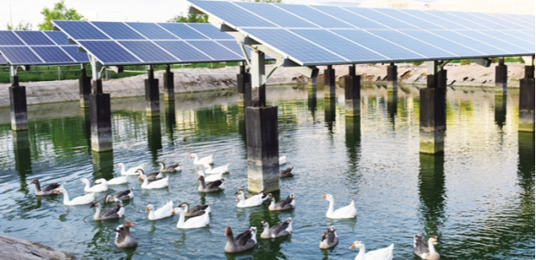 光伏板还需要定期清洁,洗去表面的沙子和灰尘,这样一来就带来了一定的