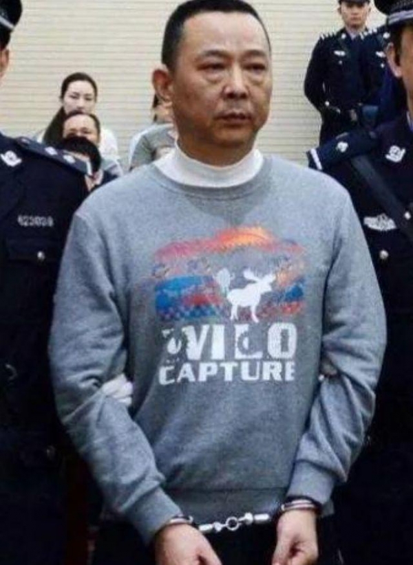 影视:中央最大保护伞落网,职务比书记还牛,抓捕现场堪称刺激!