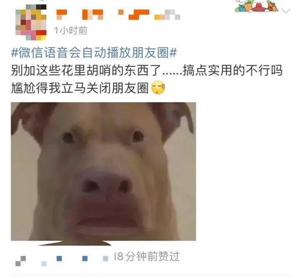 狂吃“内存”！微信为何越用越大？看到最后我淡定了