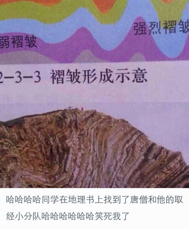 爆笑蠢萌段子，挑战你的笑点