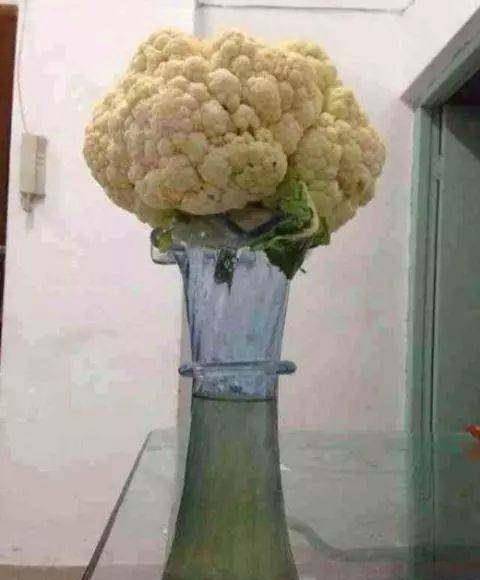 搞笑gif图片笑话段子诸葛亮娶丑女黄月英成一代贤相