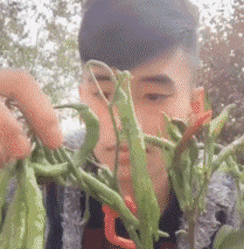 搞笑图文，不能承受的压力