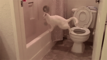 搞笑GIF动态图:论胸大的好处