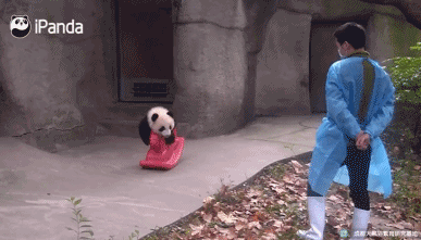 搞笑图片：另类翻车现场，让你赶走坏心情，你笑了吗