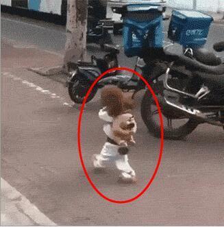 搞笑gif:&ldquo;人模狗样&rdquo;系列之一