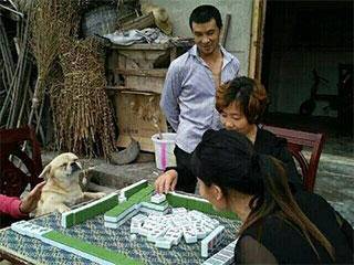 缩略图.jpg