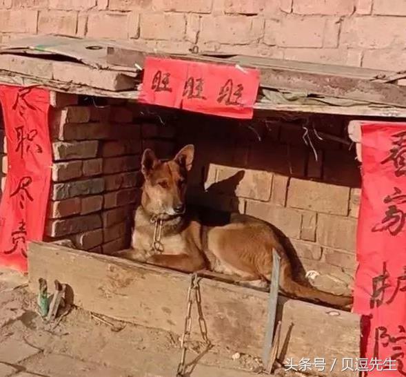 搞笑段子：真是看一次，笑三次！