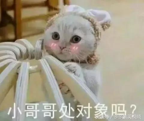 职场幽默吐槽，太搞笑了