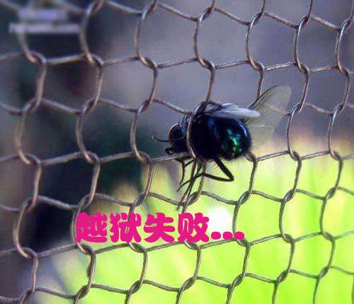 幽默搞笑：送上内涵图