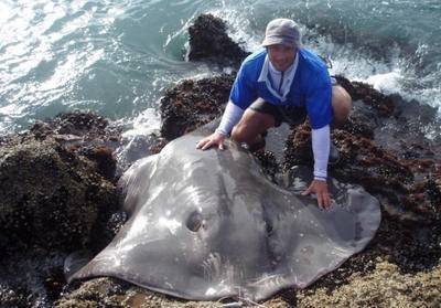 漁夫海岸意外捕獲巨型鰩魚,專家稱這是罕見現象