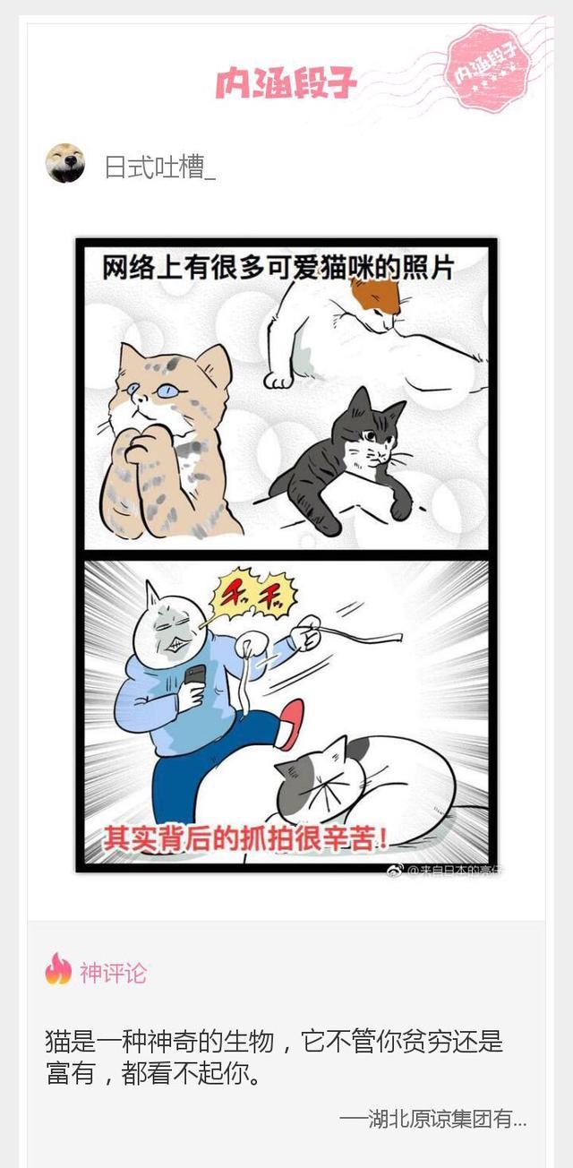 内涵神评论：当她依偎在别的男人怀中，可曾想，你们之间的爱呢？