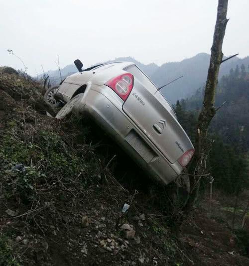搞笑图片幽默段子笑话：幸好有小树挡住，不然就要掉下去了