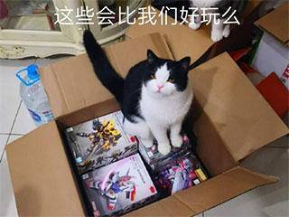 缩略图.jpg