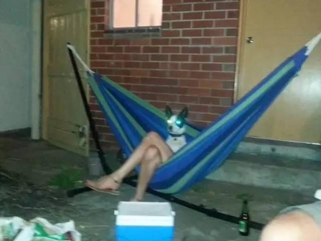 最流行的搞笑拍照！想不想学？