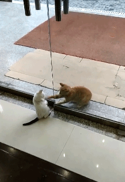 爆笑GIF图：护士姐姐反被人打针了？走路样子好奇怪