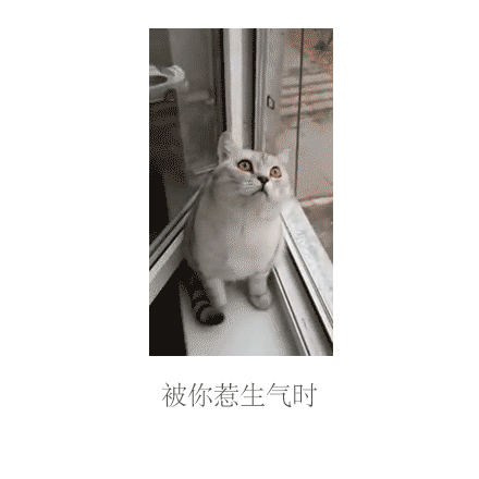 搞笑段子笑话幽默图片:今天下雪了,冻得直发抖