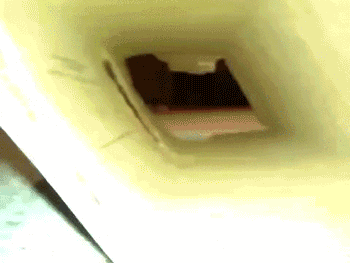 搞笑GIF图:设计师此时的内心是崩溃的!