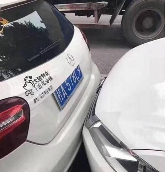 搞笑GIF: 男人强吻女人只有两种结果, 精辟!
