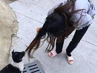 缩略图.jpg