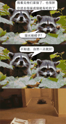 笑到抽筋、欲罢不能的搞笑图片，看一次爆笑一次，拯救不开心！