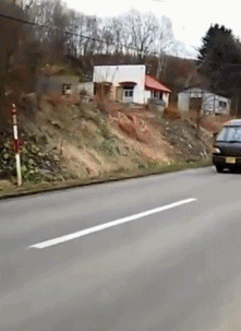 搞笑gif：味道虽好，可不能太贪哦