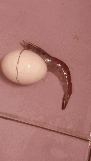 搞笑GIF动图段子:女子防狼术,这一招确实不错,适用于实战