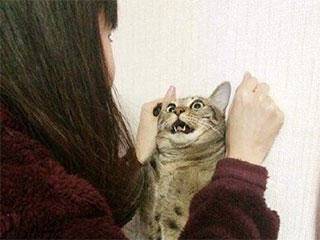 缩略图.jpg