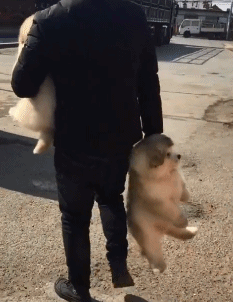 搞笑gif:潜质相当不错,欢迎你参加泰国“变性计”