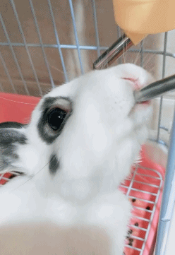 爆笑GIF图：护士姐姐反被人打针了？走路样子好奇怪