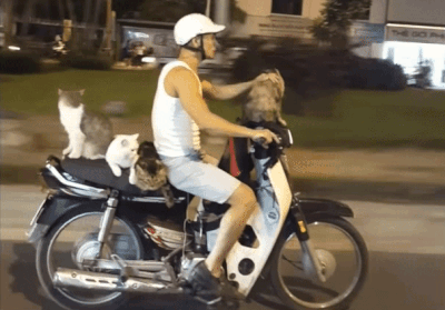 大王爆笑gif趣图：东北冬天的日常