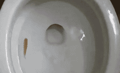 珍藏版的幽默风趣段子，只为在这繁忙的生活中能让你会心一笑！