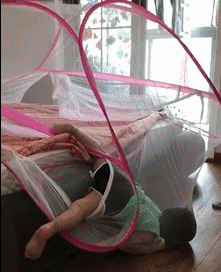 这些搞笑段子你看过几个？最近好像流行互粉，粉起来！