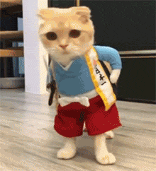 狸花娱乐：搞笑gif图~