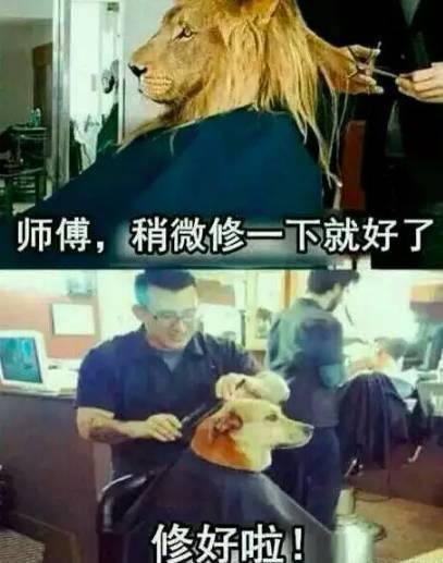 「搞笑图片」过年理发就是一场赌博，而我从来就没有赢过……