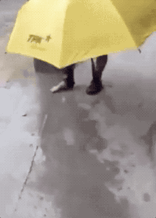 2018笑着活下去！哈哈哈哈哈哈哈哈哈哈哈哈哈哈哈哈哈哈