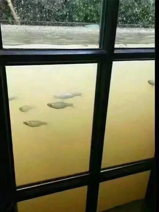 宿舍搞笑趣事合集：跟你说有女生要来，让你把衣服穿上也不穿