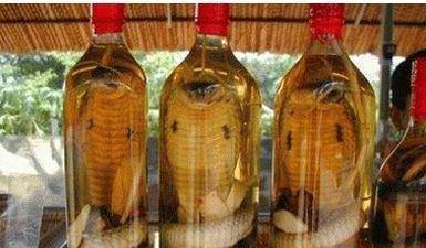 男子抓到眼镜蛇泡酒密封一个多月后打开被蛇咬死