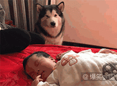 爆笑gif图：当你和女朋友在家里亲热的时候&hellip;&hellip;