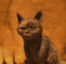 男孩穿上黑丝袜，简直不能再搞笑了！