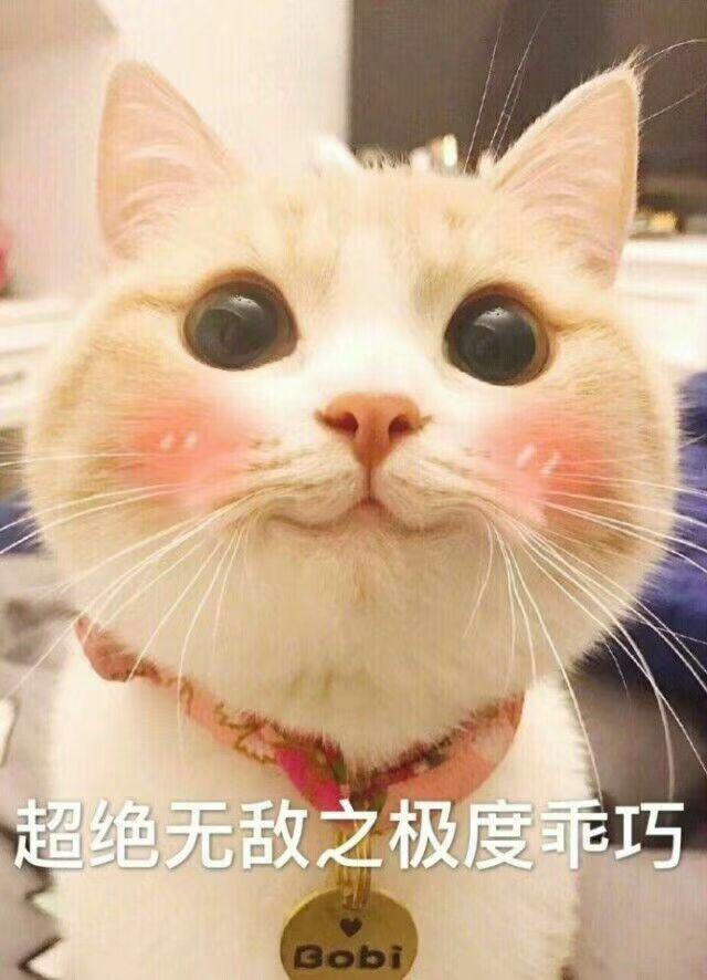 搞笑神回复！以后再有人问你类似问题就怼回去哈哈