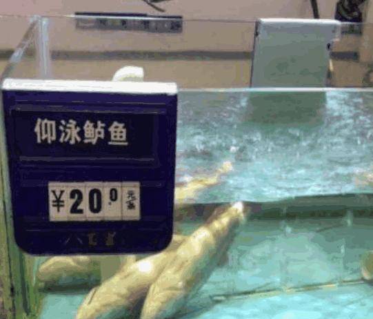 搞笑段子：在超市买了两条鱼，回家后总感觉哪里不对！