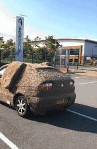 搞笑gif图：老公一脸懵逼&hellip;&hellip;我做错什么了吗？