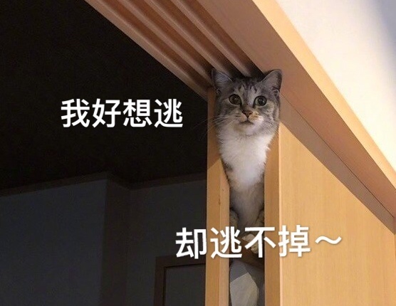 006hL0SXgy1g3mrwvewlaj30fg0bywgg.jpg