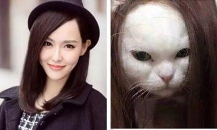动物界也撞明星脸 林更新的最搞笑 最形象的果然是他